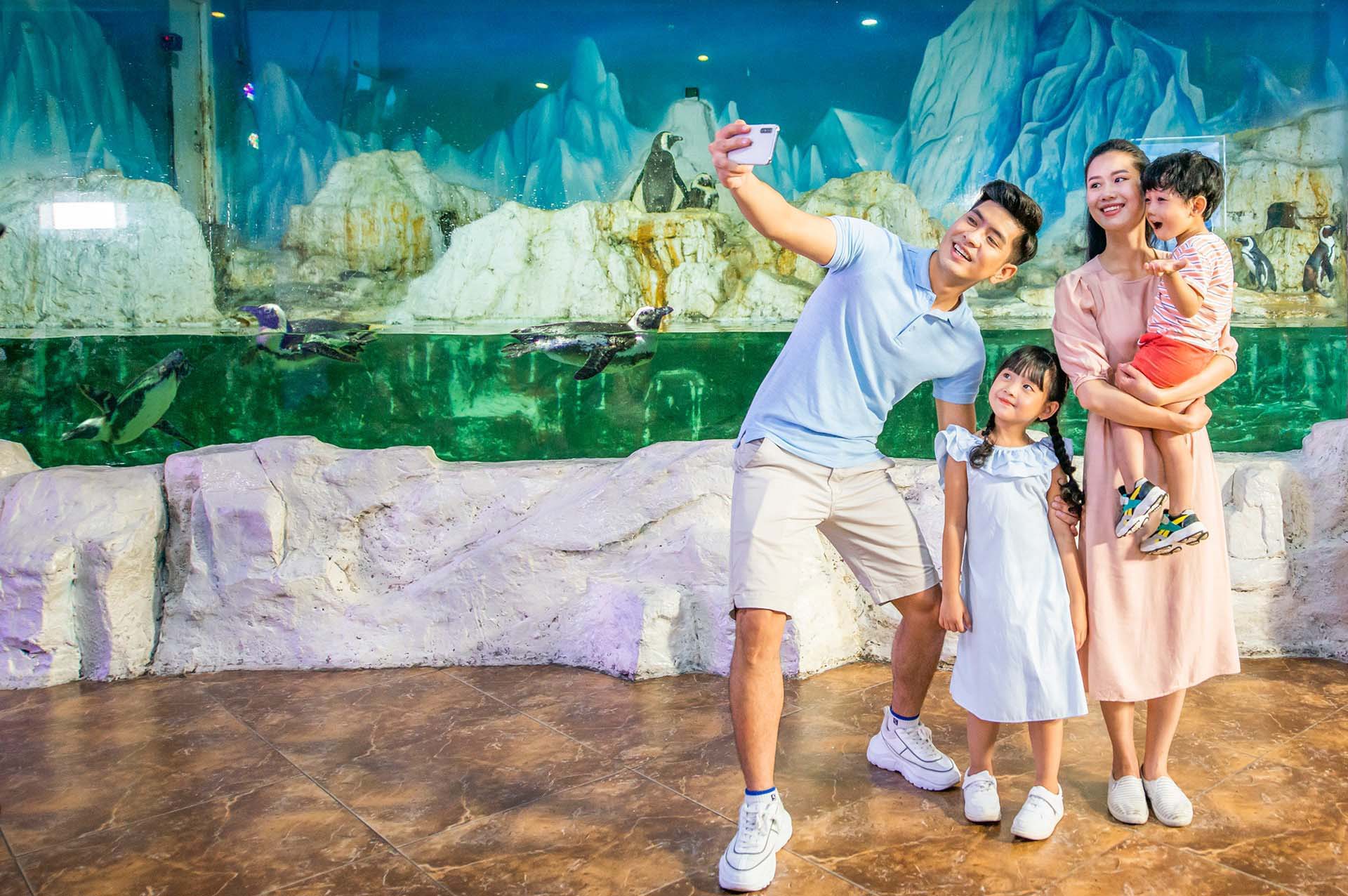 chùa ở Hồ Tây Khám phá thế giới đại dương kỳ thú tại thủy cung Times City