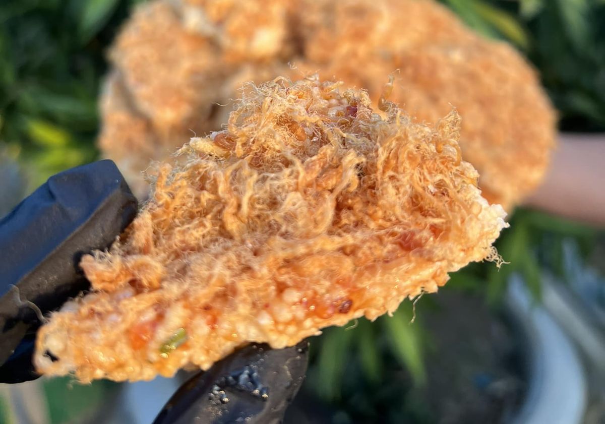 Cơm cháy cô Ba giòn rụm