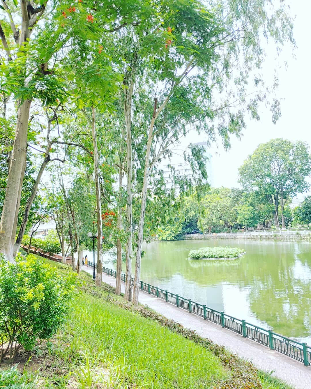 Công viên cây xanh Công viên Thủ Lệ, Hà Nội