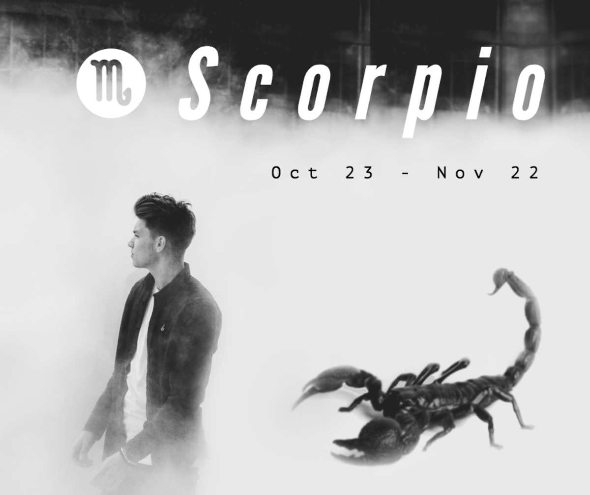 cung Bọ Cạp Nam Bọ Cạp là những người đàn ông trung thành, kiên trì và tận tâm trong mọi mục tiêu