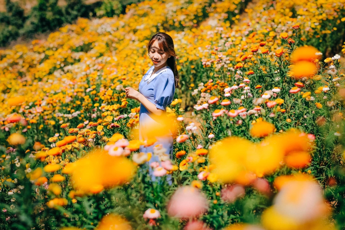 vườn hoa Đà Lạt