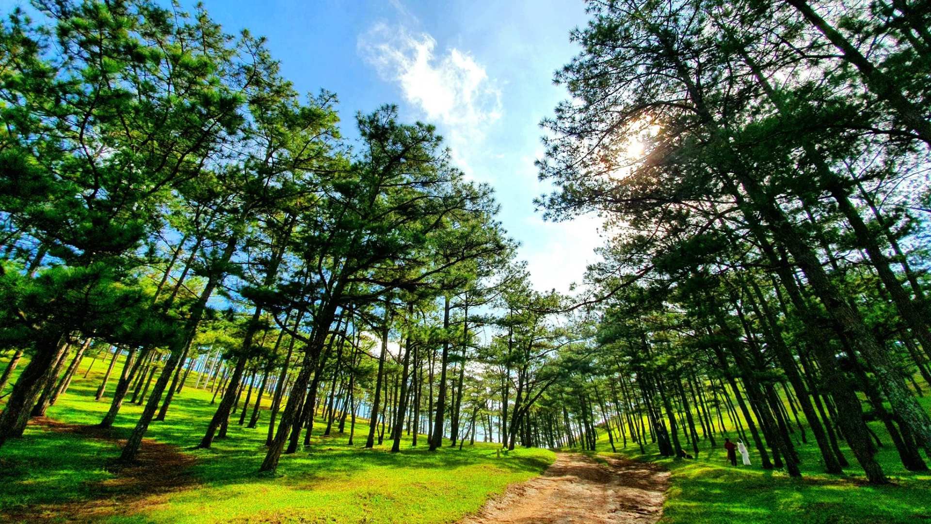 Đà Lạt mùa nào đẹp nhất