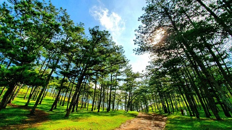 [GIẢI ĐÁP] Đà Lạt mùa nào đẹp nhất? – Top hoạt động thú vị mỗi thời điểm