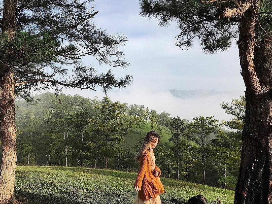 Đà Lạt ở đâu Đồi Robin sáng sớm với không khí mát mẻ, trong lành