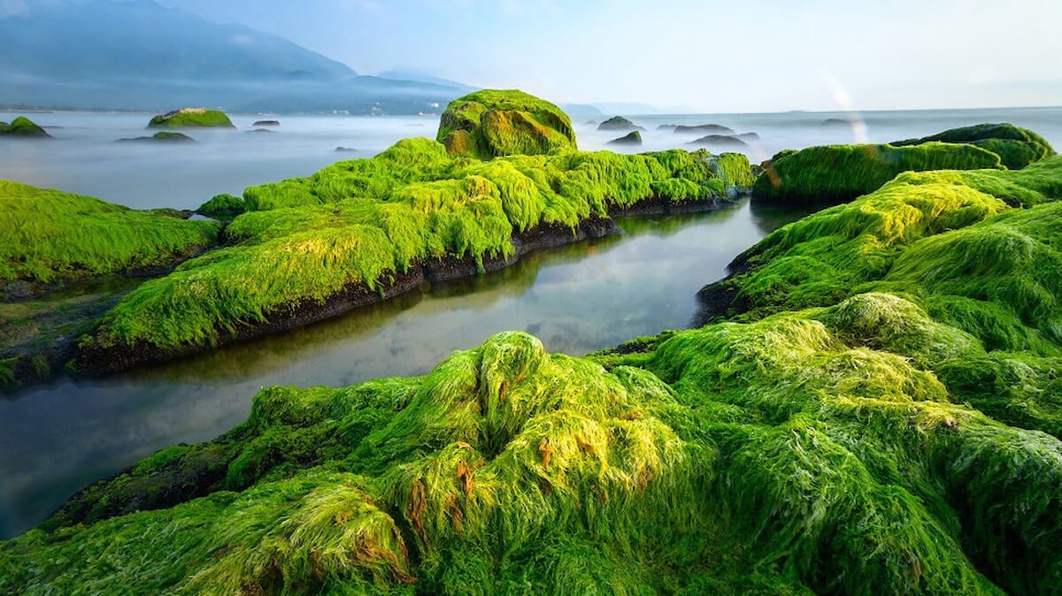 Da Lat to Da Nang Da Lat to Da Nang