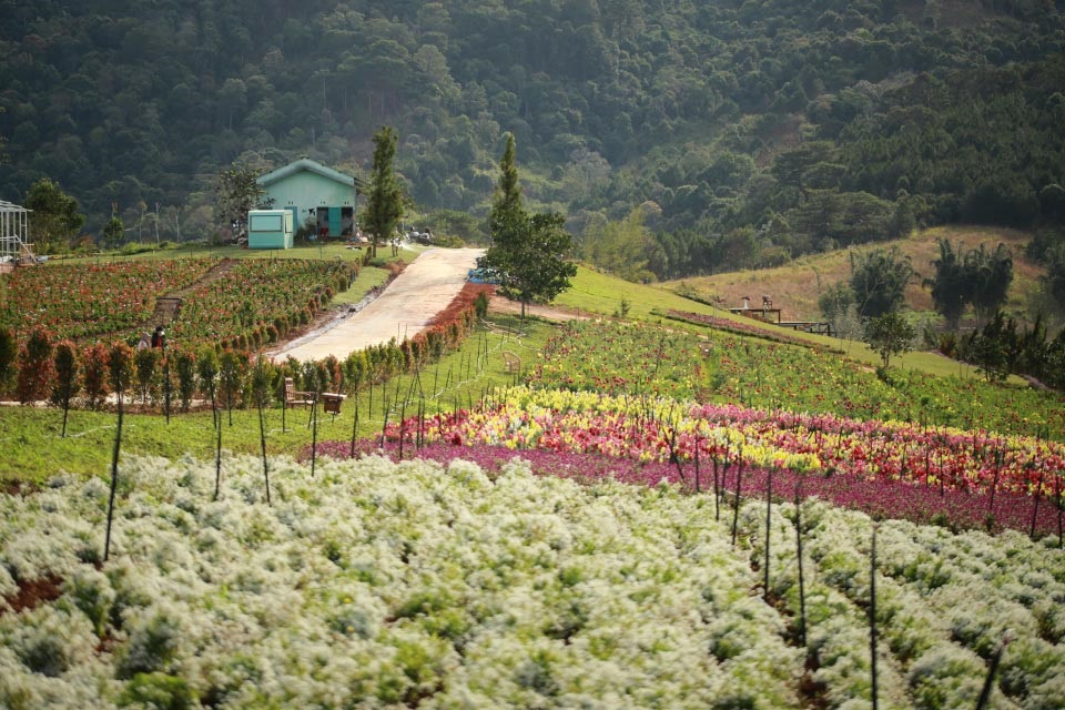 Da Lat to Da Nang Visit charming towns and villages