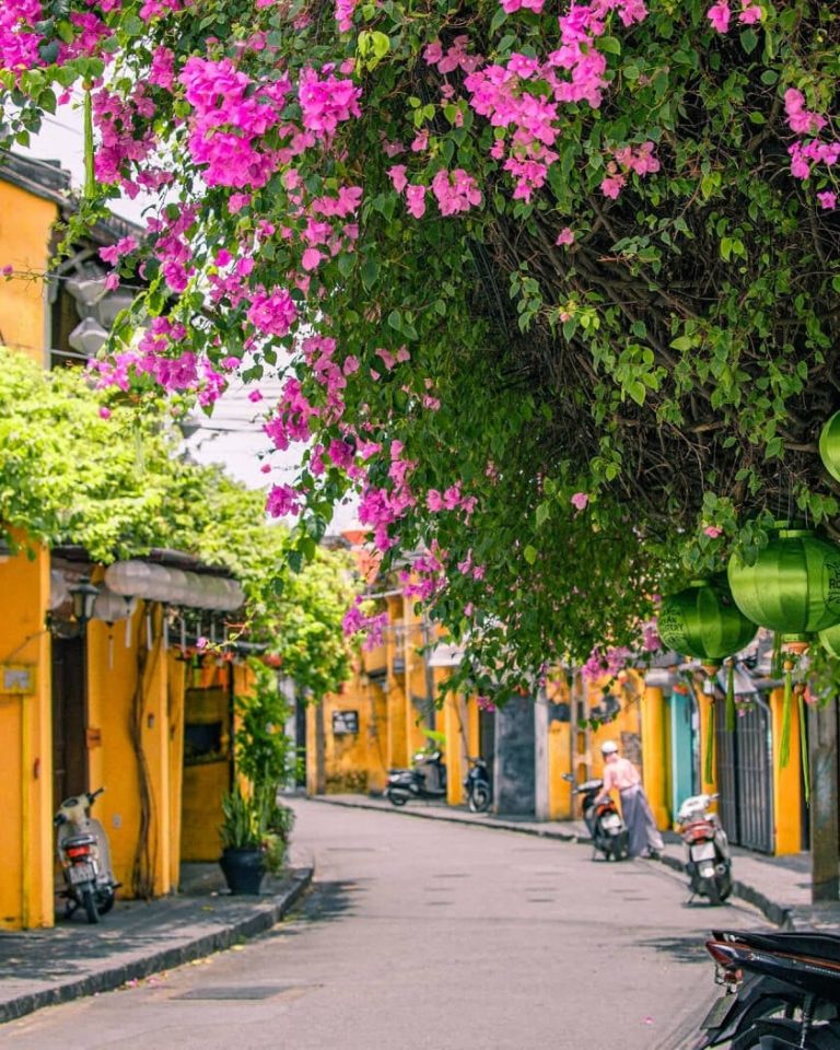 Da Nang Airport to Hoi An transportation guide & travel tips