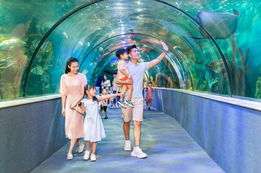 Du khách được tận mắt chiêm ngưỡng các loài sinh vật 