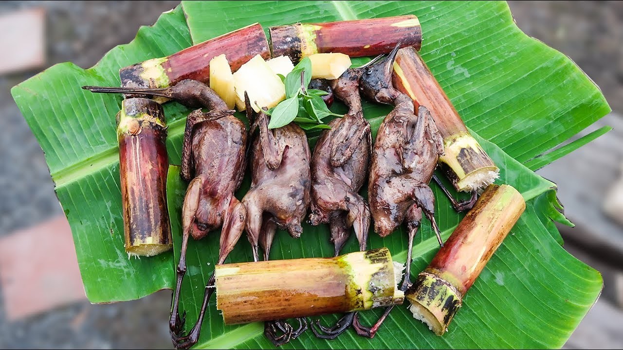 Chim mía nướng - đặc sản Tây Sơn Bình Định