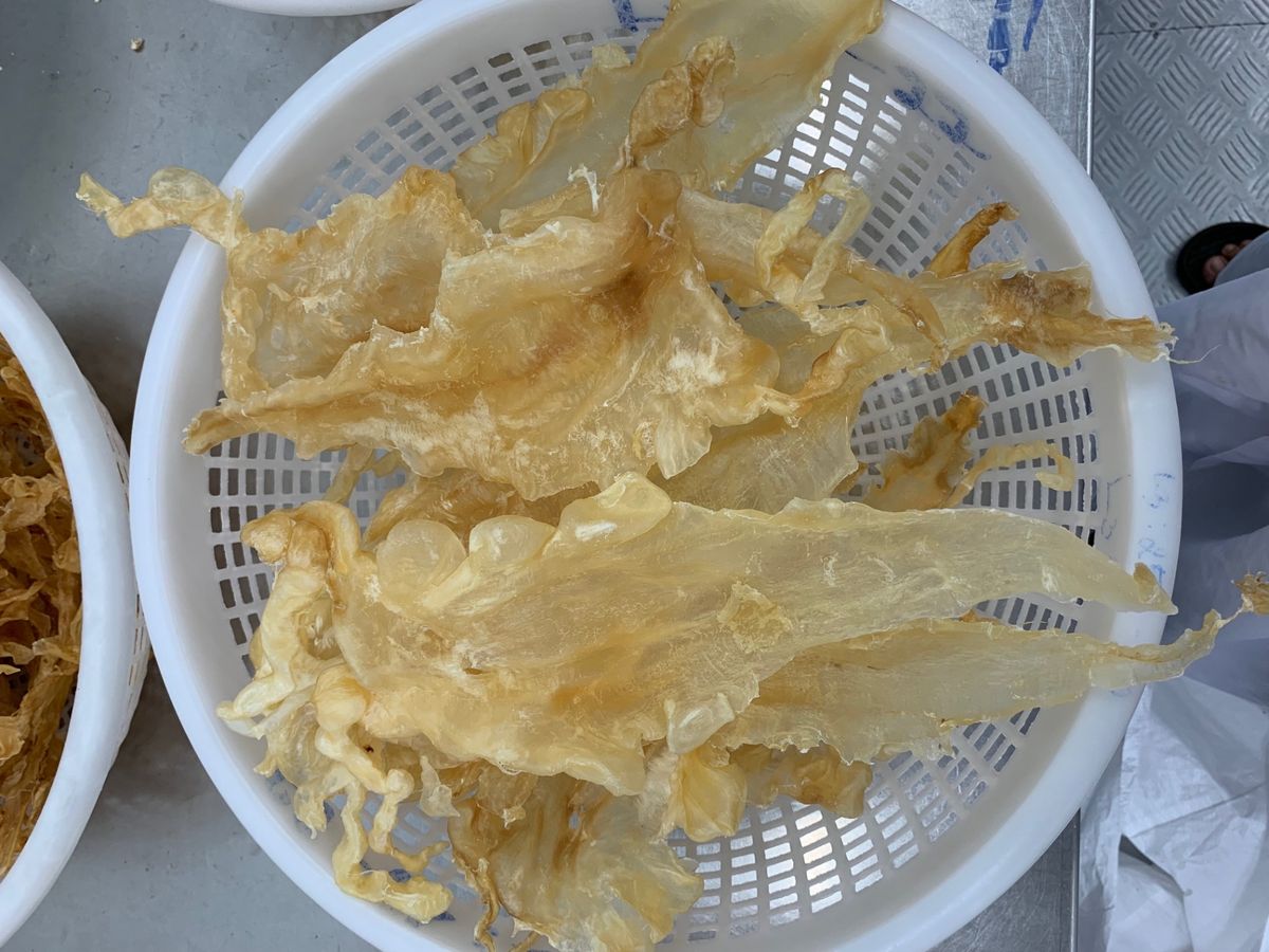 đặc sản Cam Ranh Bong bóng cá Cam Ranh