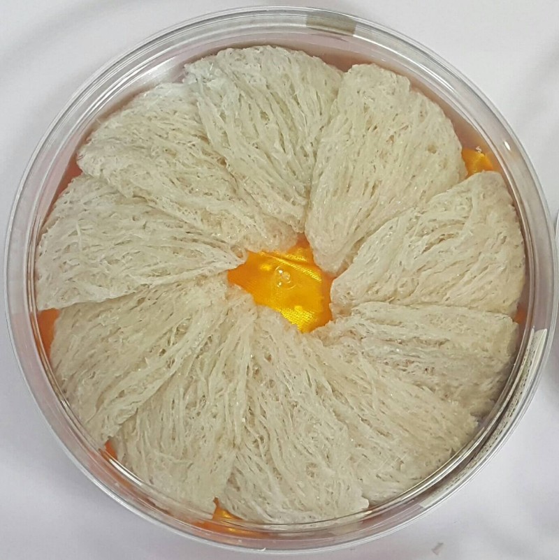 đặc sản Cam Ranh Yến sào là món quà ý nghĩa nhất dành tặng gia đình