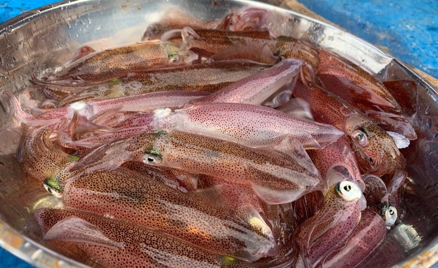 Đặc sản Hà Tĩnh