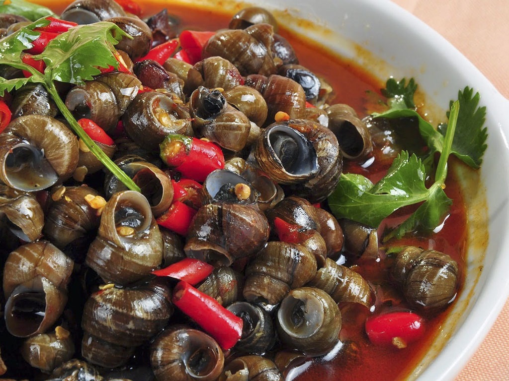 Du lịch Quảng Ngãi bạn đừng bỏ qua món ốc hút thơm ngon