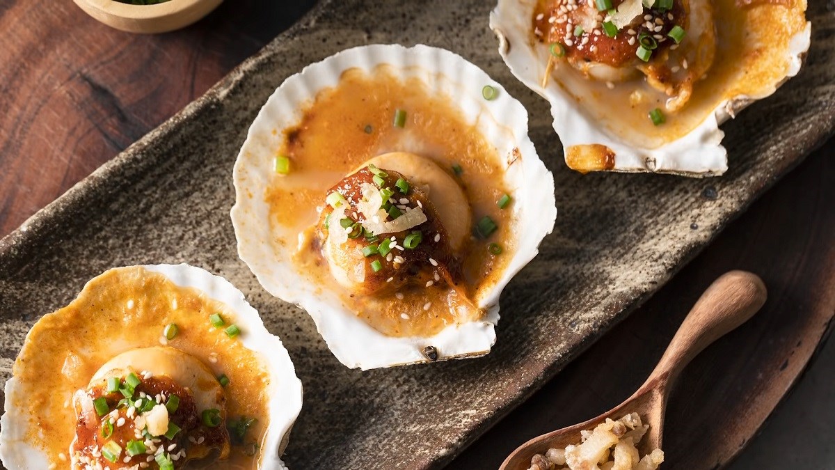 Sò điệp là hải sản Quảng Ngãi khiến du khách say lòng