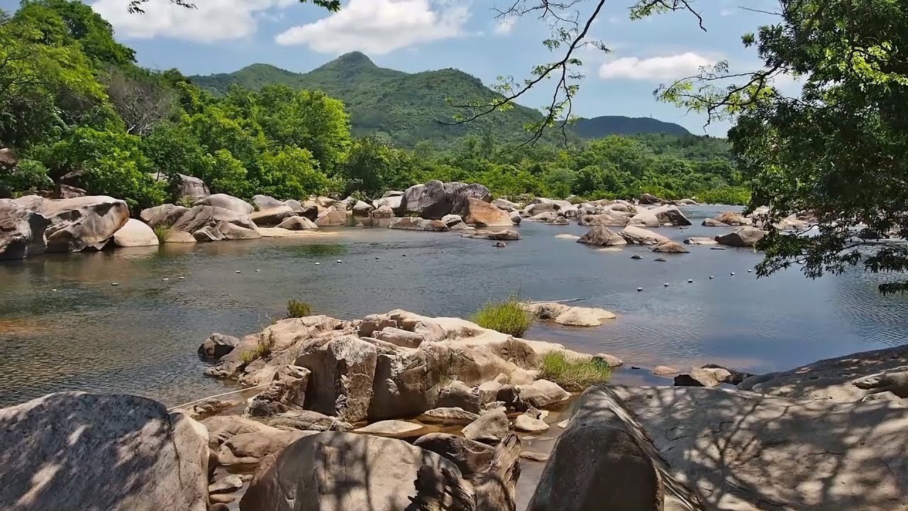 Hai bên bờ sông Hầm Hô là những phiến đá to và núi rừng bạt ngàn