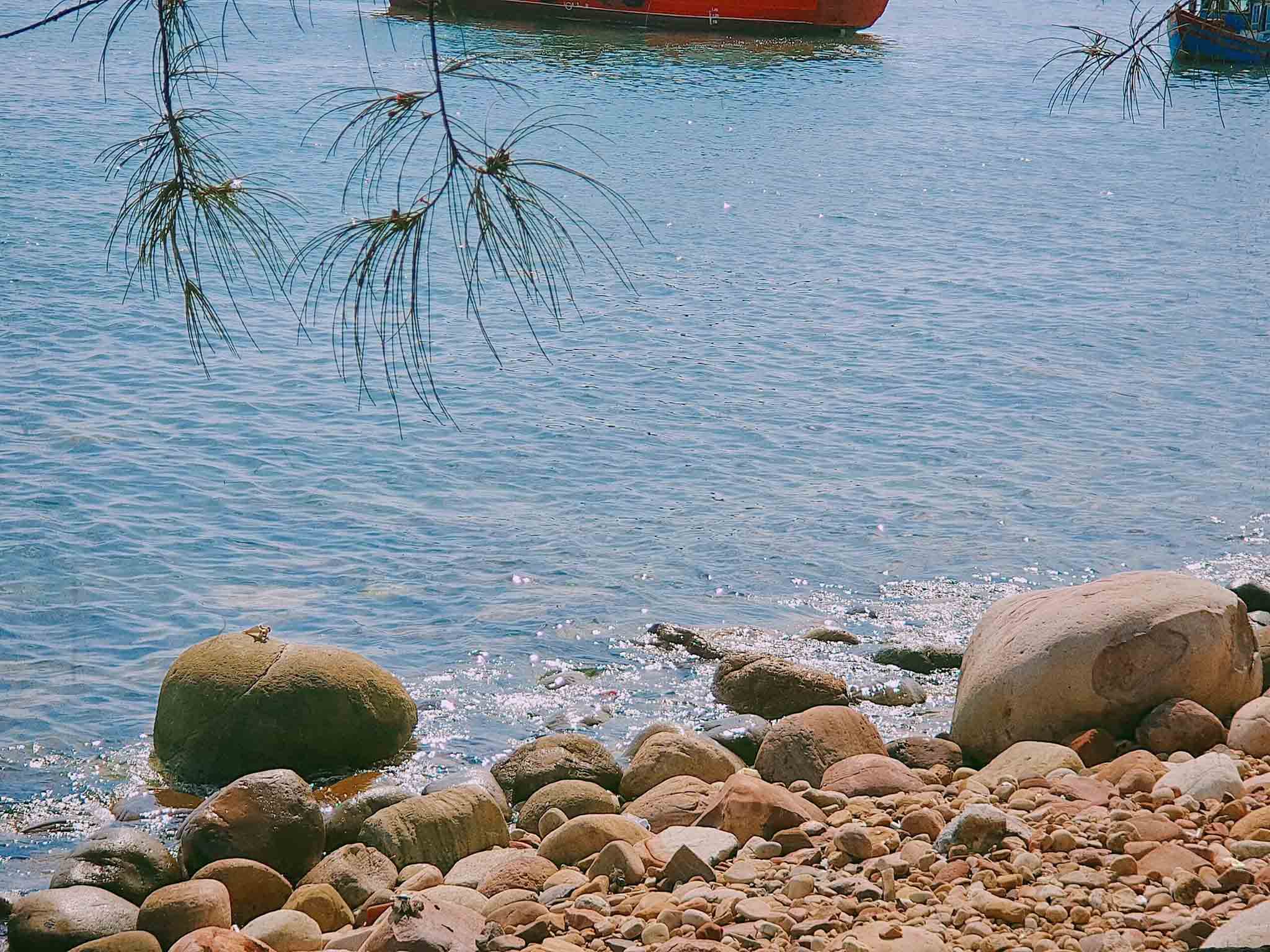 Bãi Đông Đảo Bung Thanh Hoá