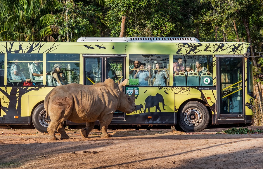 đảo Cái Chiên Khám phá rừng sâu và đời sống bán hoang dã của các loài động vật tại Vinpearl Safari Phú Quốc trong chuyến du lịch đảo ngọc