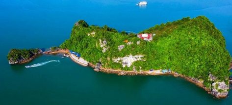 Đảo Soi Sim – đảo hoa sim tím đẹp nổi bật giữa lòng vịnh Hạ Long