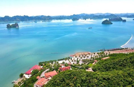 Ghé đảo Thẻ Vàng chiêm ngưỡng bức tranh thiên nhiên trong lành đầy ấn tượng