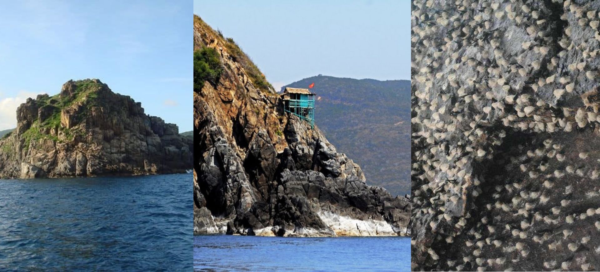 Đảo Yến Quy Nhơn