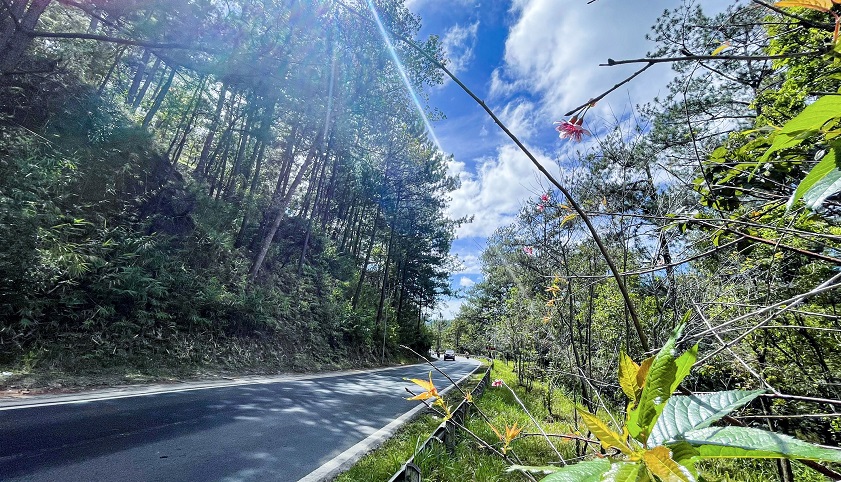 Chinh phục đèo Prenn Đà Lạt khám phá khung cảnh thiên nhiên thơ mộng