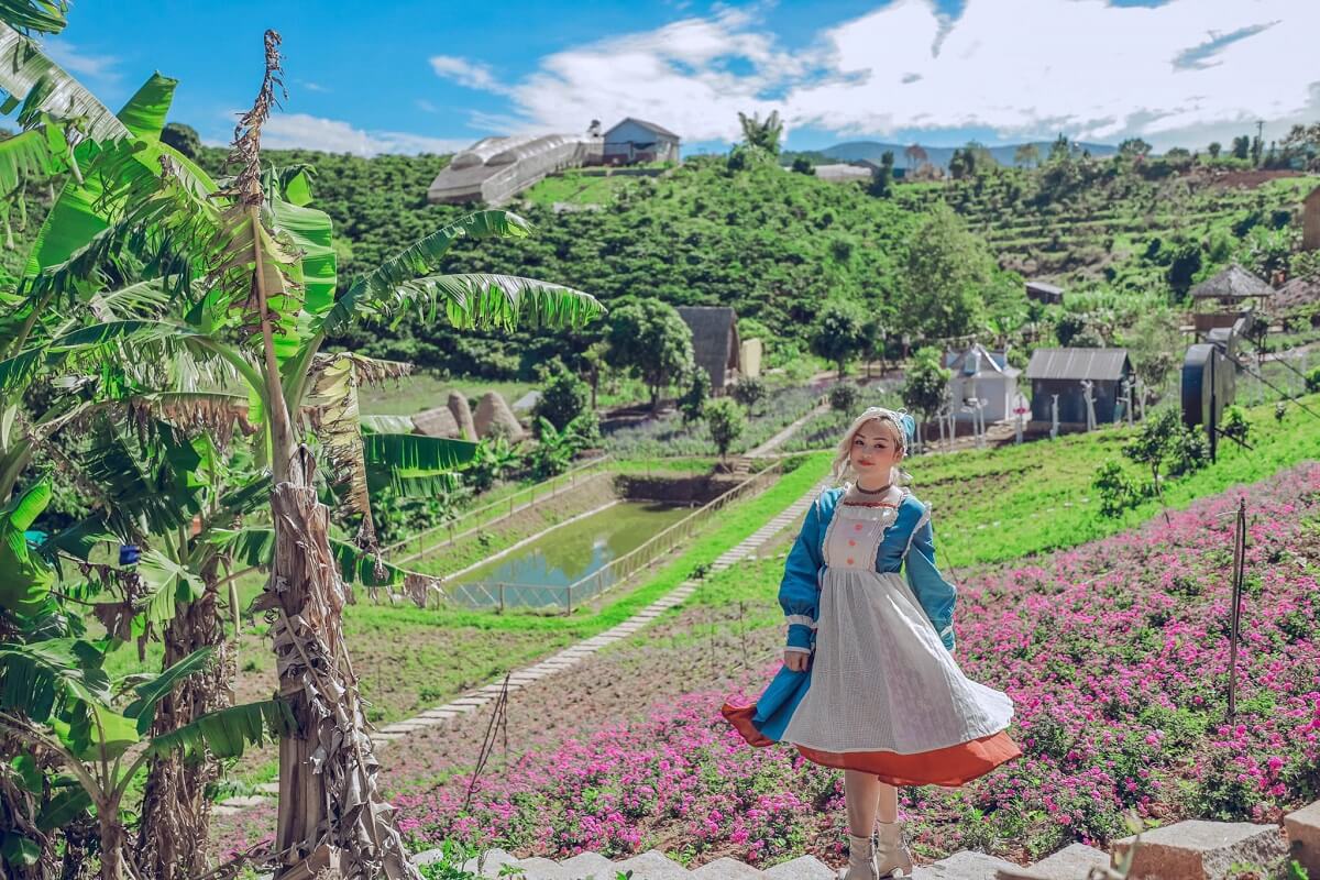 Đèo Tà Nung Vẻ đẹp ngất ngây của những rừng hoa tươi tắn nằm gần đèo Tà Nung Đà Lạt