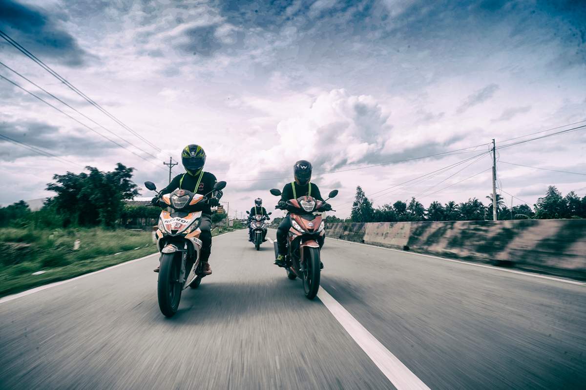 Cánh đồng hoa cúc chi Di chuyển đến cánh đồng hoa cúc chi