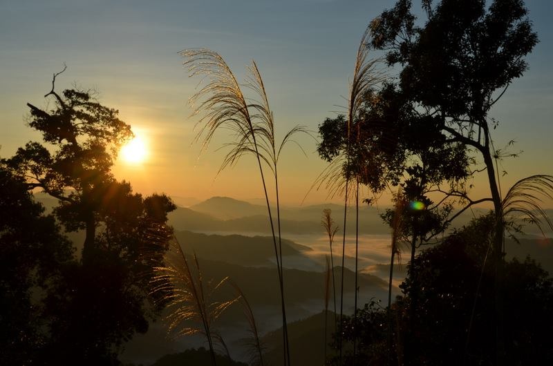 Đỉnh Quế mang vẻ đẹp như tiên cảnh