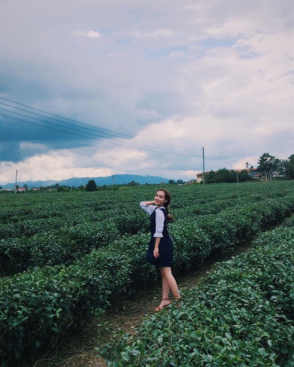 đồi chè Tâm Châu Bảo Lộc Khung cảnh thiên nhiên tuyệt đẹp tại đồi chè