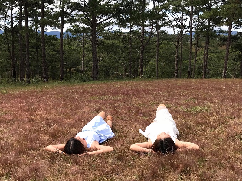 Đồi cỏ hồng Đà Lạt Đồi cỏ hồng Thung Lũng Vàng thu hút khách ghé thăm