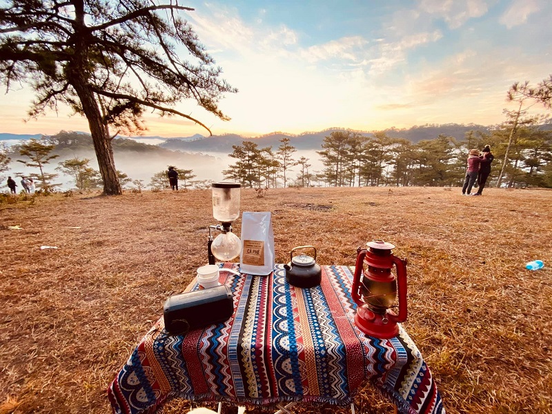 Đồi cỏ hồng Đà Lạt Vẻ đẹp lãng mạn của đồi cỏ hồng