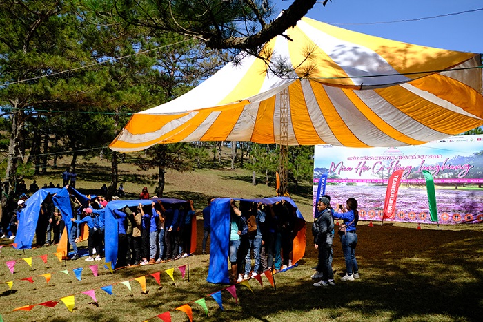 Đồi cỏ hồng Đà Lạt Các hoạt động trong lễ hội đồi cỏ hồng Đà Lạt