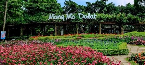 Đồi Mộng Mơ Đà Lạt – Nơi thiên nhiên giao hòa cùng bản sắc văn hóa