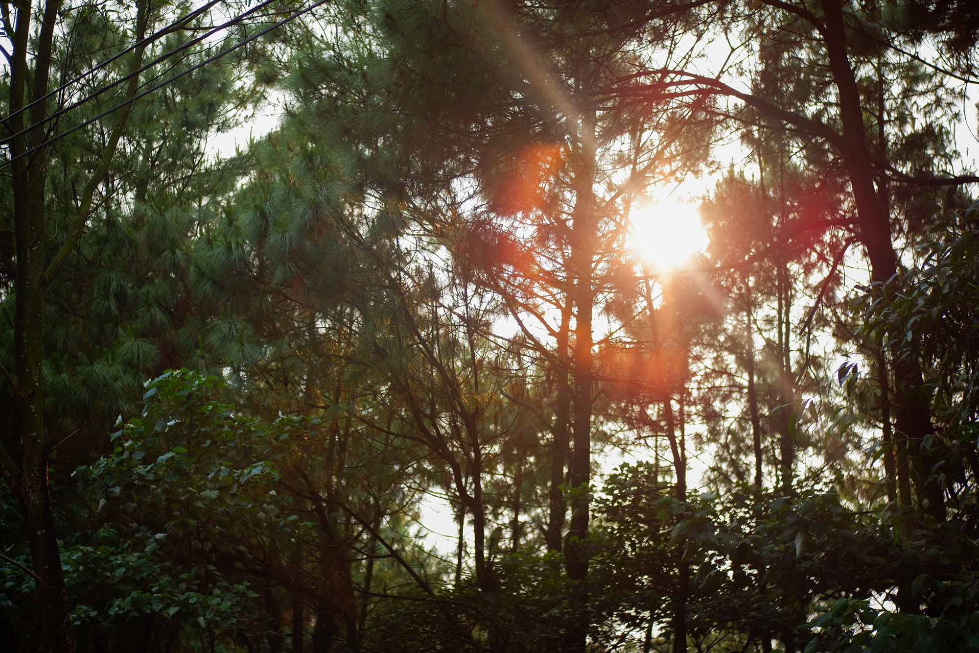 Đồi Thiên Văn Đồi Thiên Văn Hải Phòng