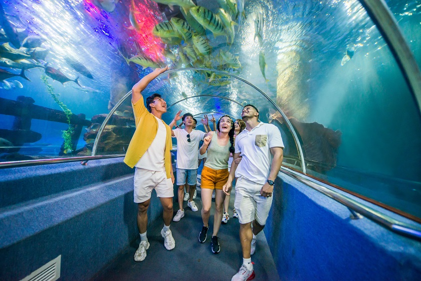 Khám phá thế giới đại dương với 30.000 sinh vật biển tại Sea World