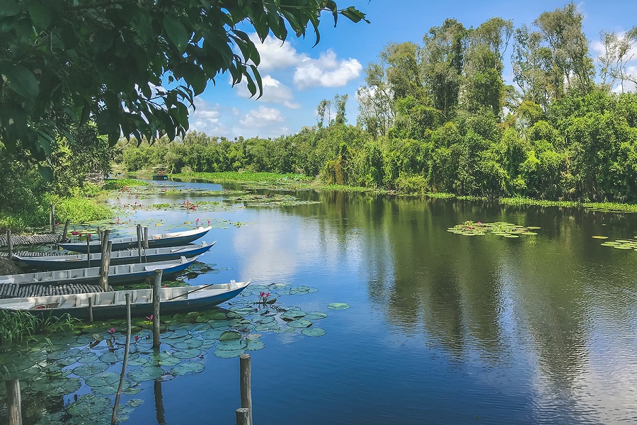 Khung cảnh hữu tình tại làng nổi Tân Lập, Long An