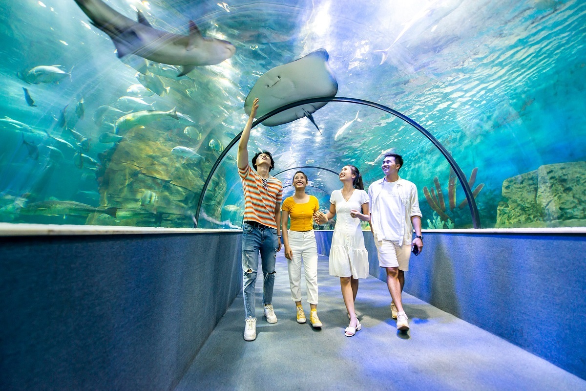 Thuỷ cung Vinpearl Aquarium Times City