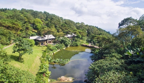 Trọn bộ kinh nghiệm du lịch Ba Vì tự túc: đi đâu, ăn gì, ở đâu lý tưởng?