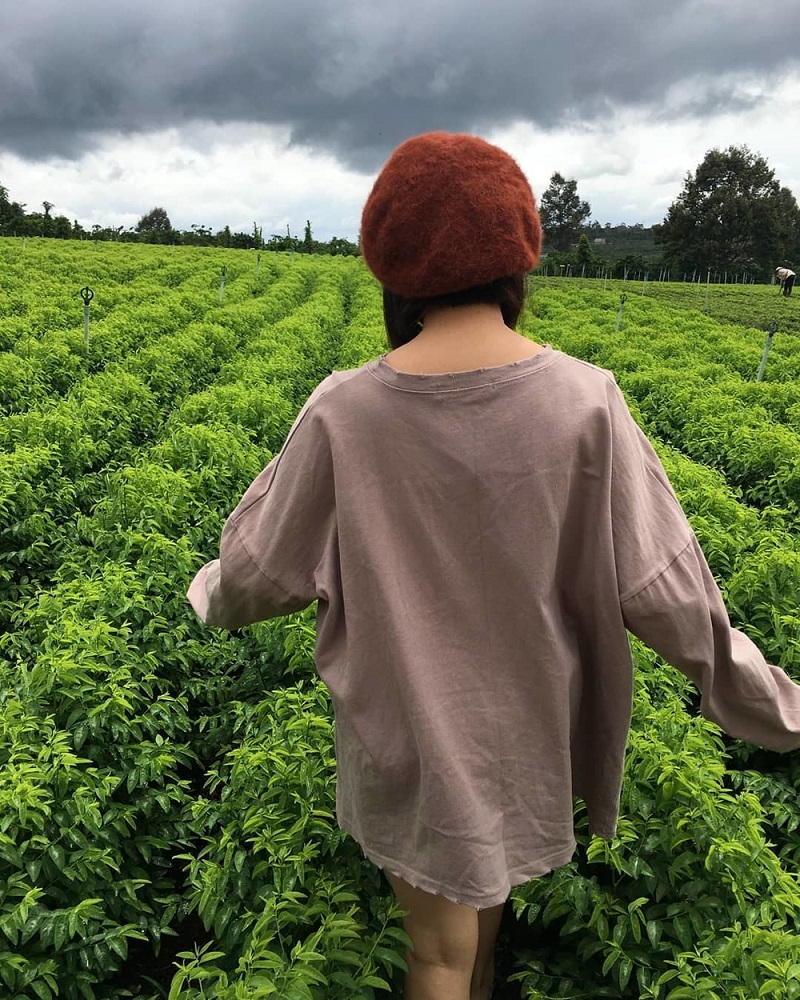 Du khách check in đồi chè Di Linh