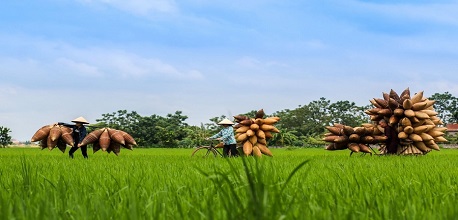 Kinh nghiệm du lịch Hưng Yên & 15 địa điểm vui chơi HOT nhất