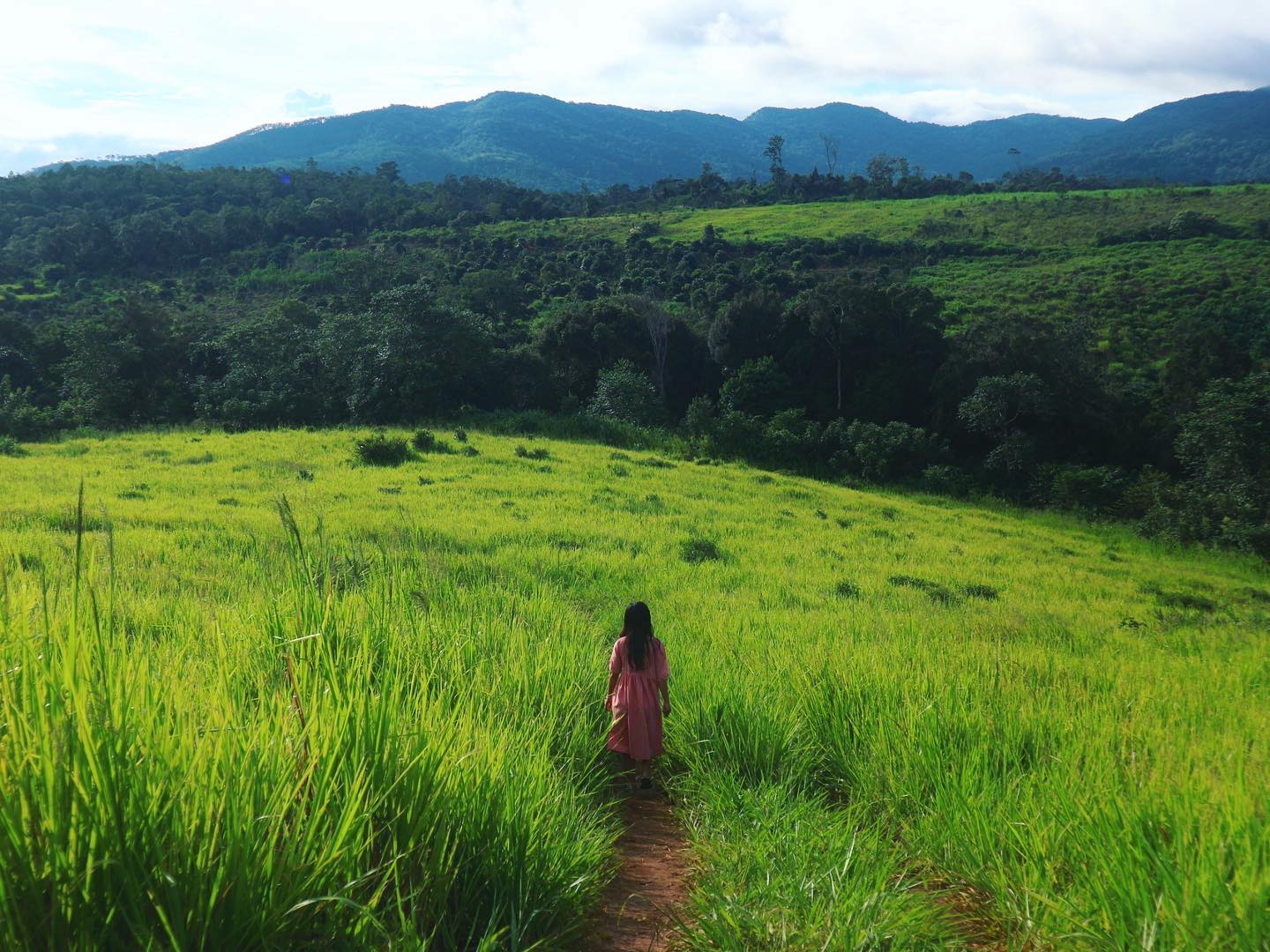 Không gian tại các farm ở Măng Đen
