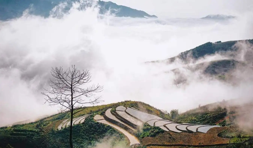Du lịch Sapa mùa đông sẽ mang đến cho du khách những trải nghiệm khó quên