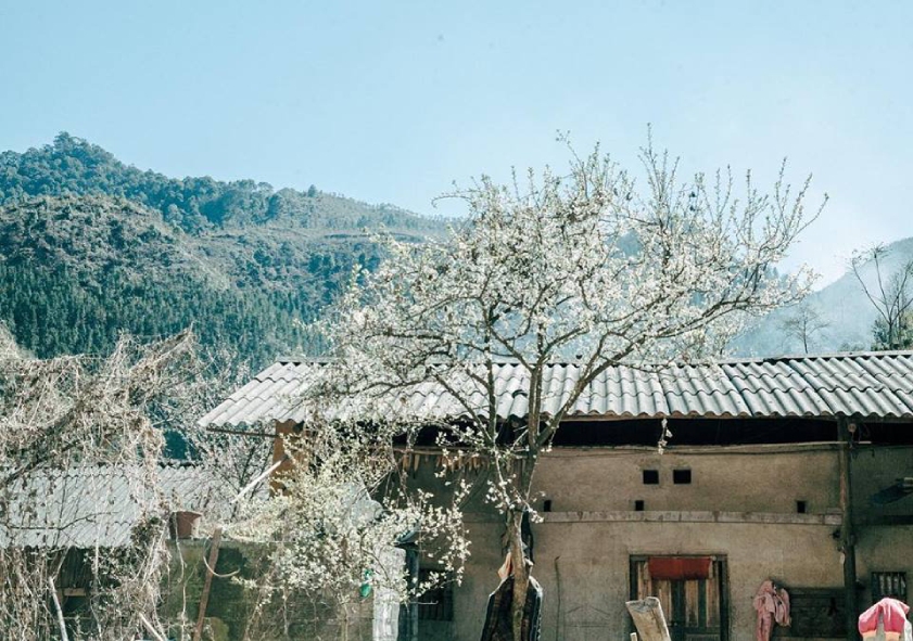 Du lịch Hà Giang mùa đông với nét đẹp độc đáo, hút khách