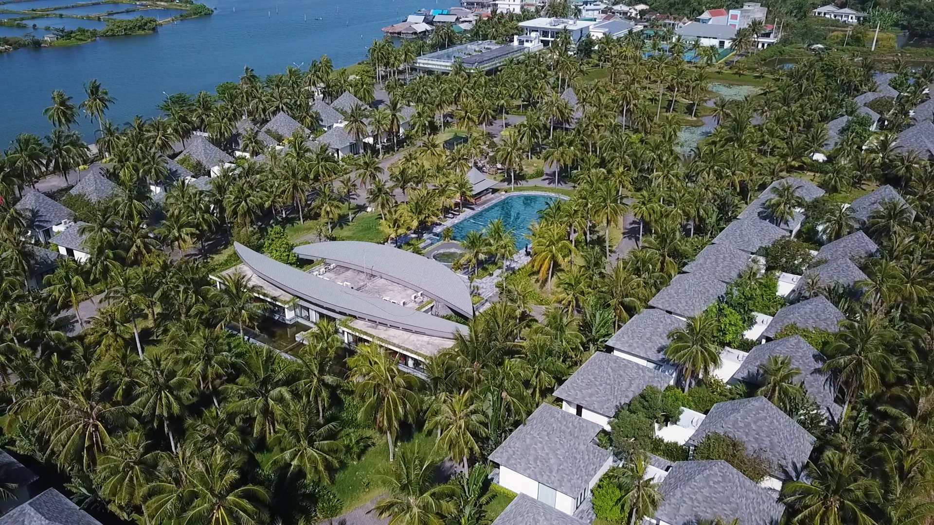 Khu du lịch bãi dừa Quảng Ngãi với những rặng dừa tuyệt đẹp