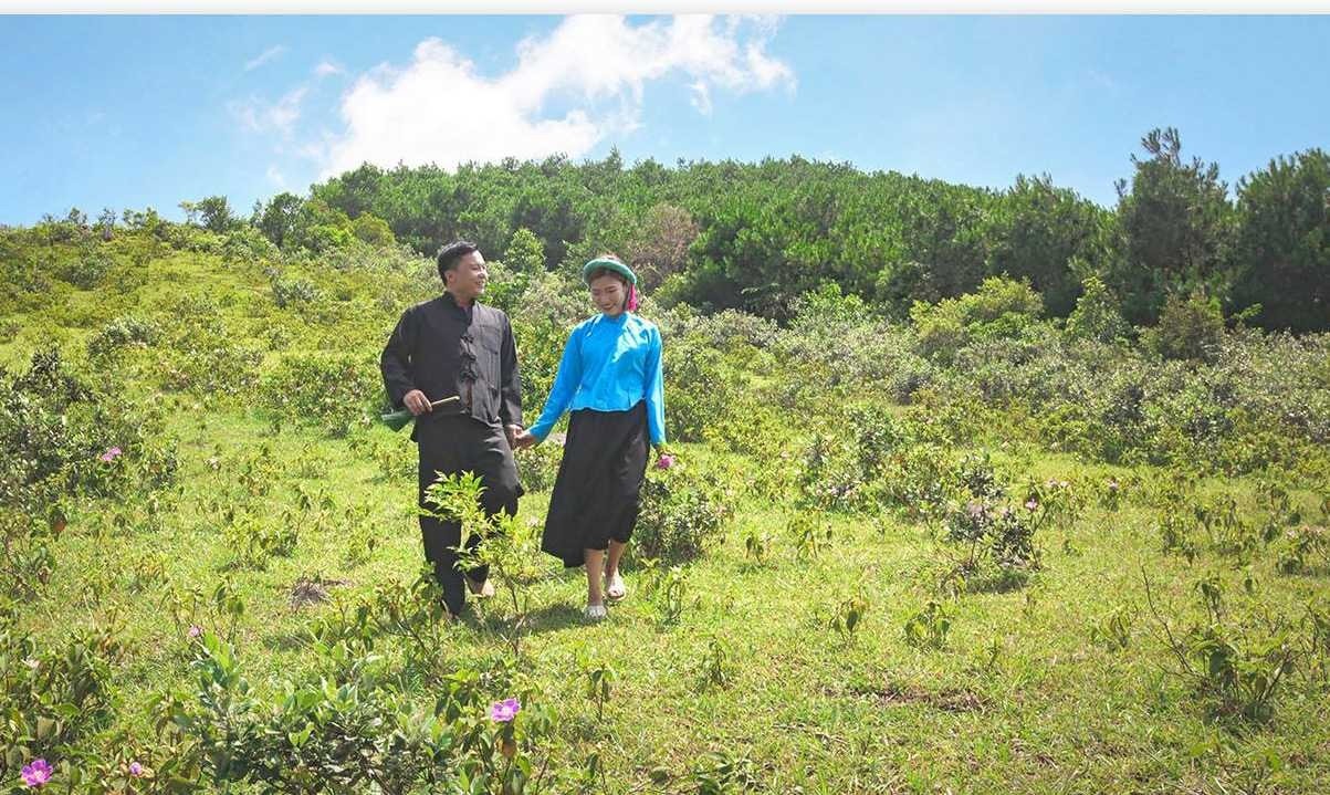 Du lịch Tiên Yên Khung cảnh lãng mạn, thơ mộng của Đồi Tình