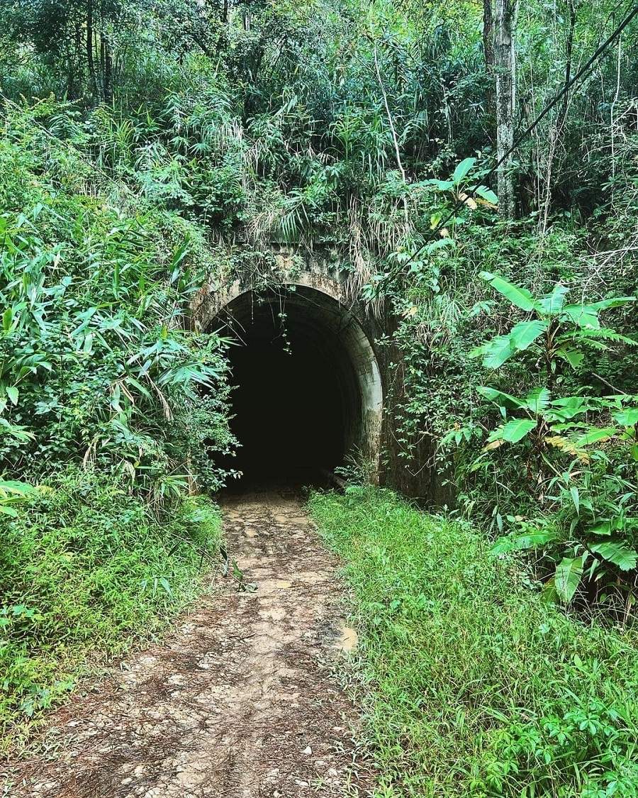 Đường hầm Hỏa Xa Đà Lạt Đường hầm Hỏa Xa Đà Lạt là đường sắt đặc biệt do người Pháp xây dựng