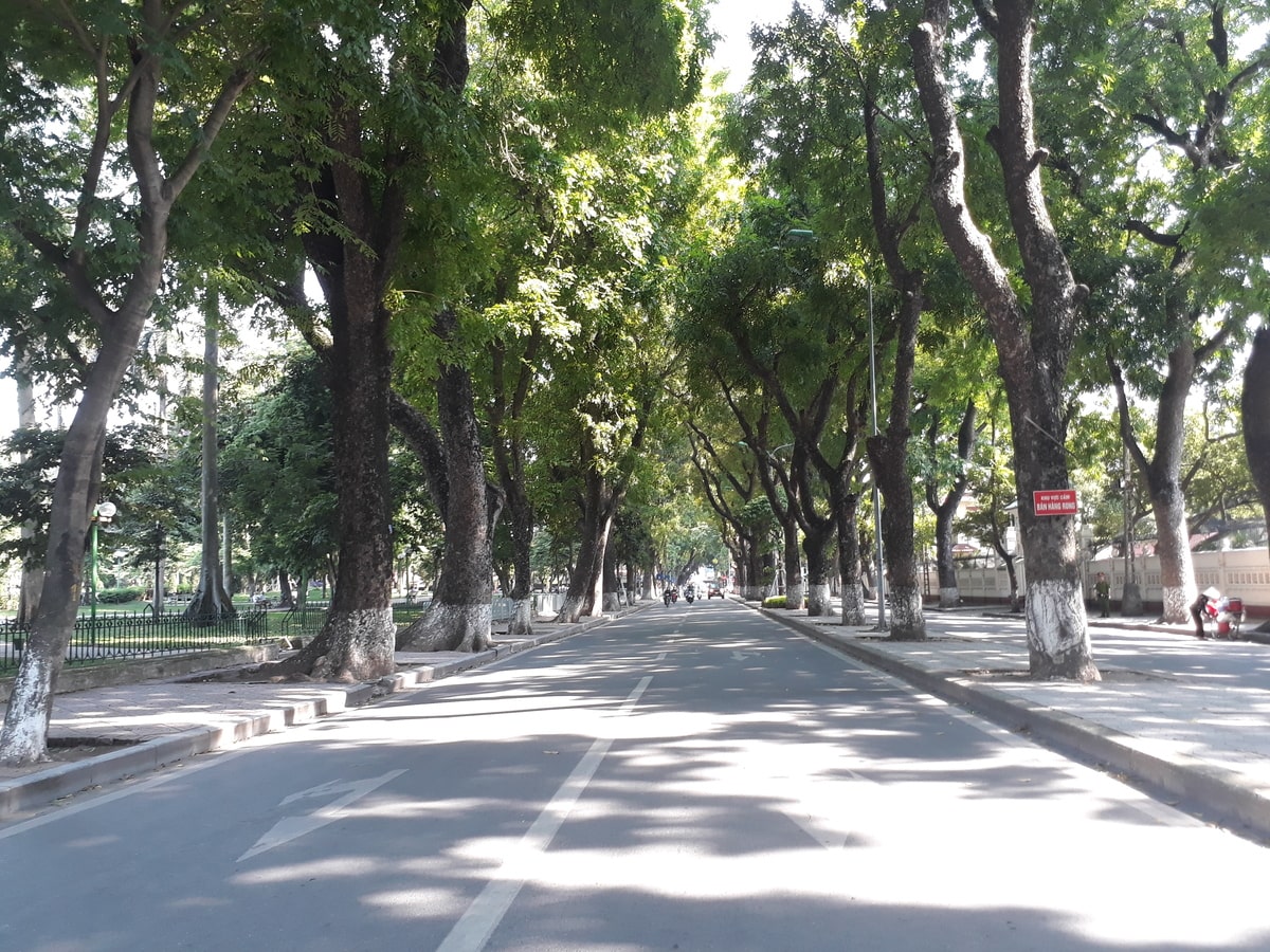 Nơi đây sở hữu không gian xanh mát quanh năm 