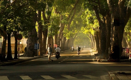 Đường Hoàng Diệu – điểm check in 0 ĐỒNG siêu HOT giữa lòng Hà Nội