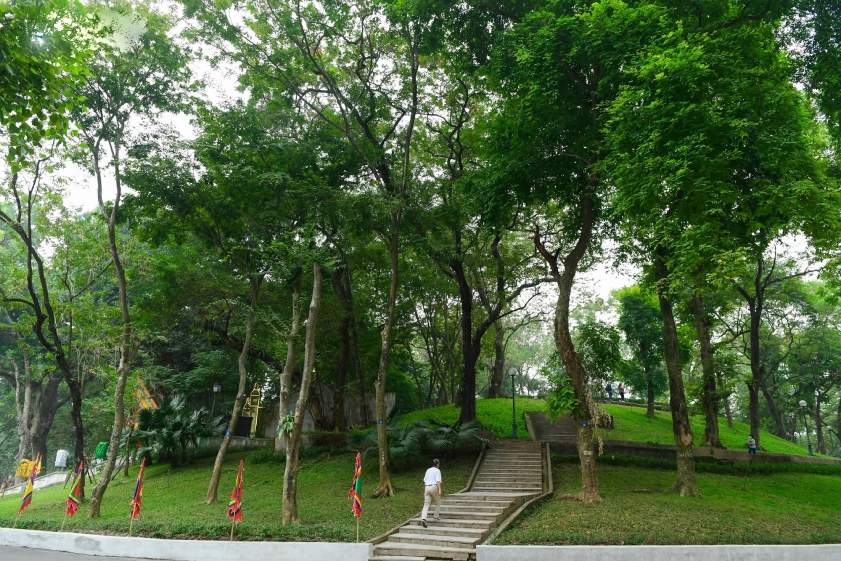 Đường Thanh Niên Vườn Bách Thảo xanh mát, thích hợp để thư giãn, nghỉ ngơi