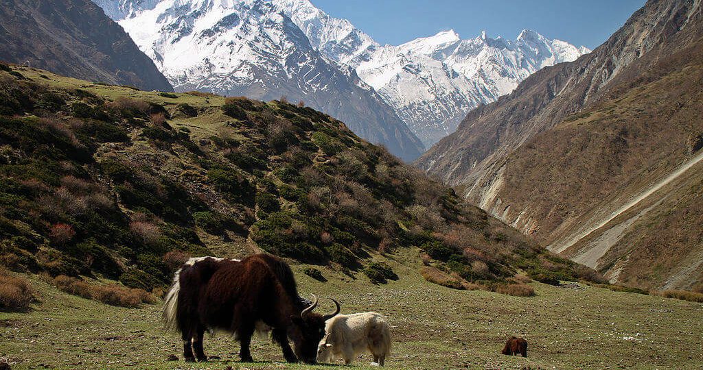 best countries to visit in April Explore Nepal in April